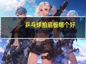 乒乓球拍底板哪个好