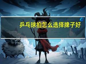 乒乓球拍怎么选择牌子好
