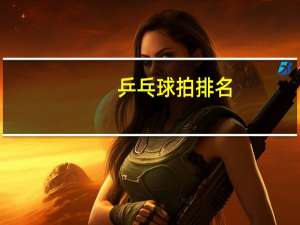 乒乓球拍排名