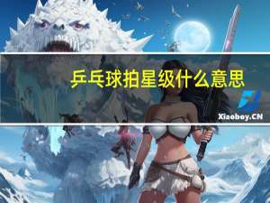 乒乓球拍星级什么意思