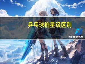 乒乓球拍星级区别