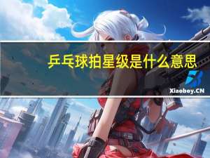 乒乓球拍星级是什么意思