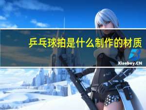 乒乓球拍是什么制作的材质