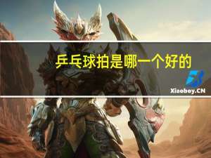 乒乓球拍是哪一个好的