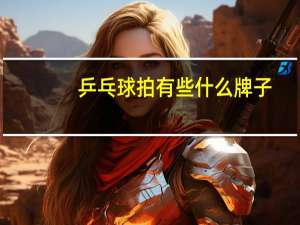 乒乓球拍有些什么牌子