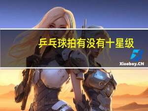 乒乓球拍有没有十星级