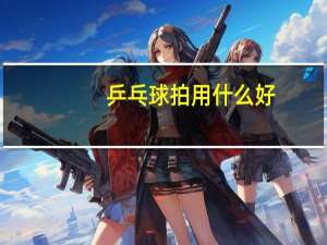 乒乓球拍用什么好
