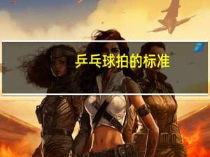 乒乓球拍的标准