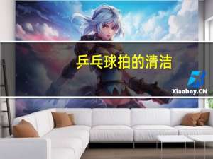 乒乓球拍的清洁