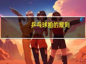 乒乓球拍的规则