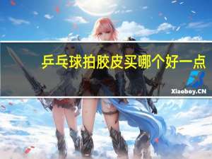 乒乓球拍胶皮买哪个好一点