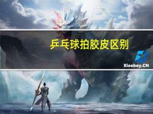 乒乓球拍胶皮区别