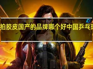 乒乓球拍胶皮国产的品牌哪个好 中国乒乓球拍十大名牌