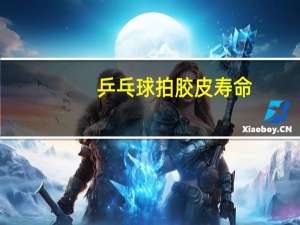 乒乓球拍胶皮寿命