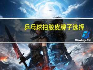 乒乓球拍胶皮牌子选择