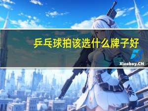 乒乓球拍该选什么牌子好