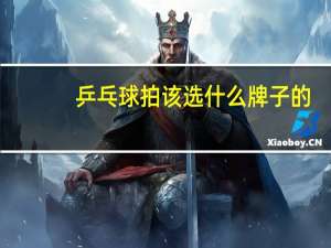乒乓球拍该选什么牌子的