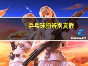 乒乓球拍辨别真假