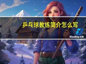 乒乓球教练简介怎么写