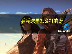 乒乓球是怎么打的呀