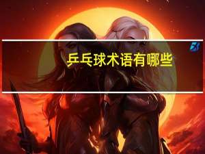 乒乓球术语有哪些