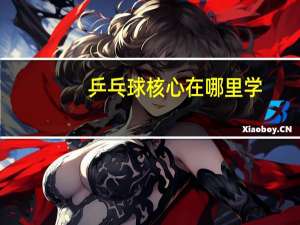 乒乓球核心在哪里学
