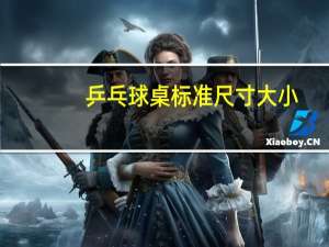 乒乓球桌标准尺寸大小