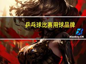 乒乓球比赛用球品牌