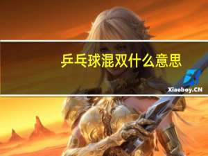 乒乓球混双什么意思