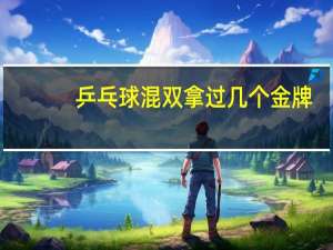 乒乓球混双拿过几个金牌