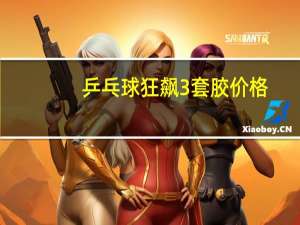 乒乓球狂飙3套胶价格