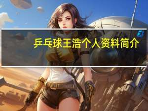 乒乓球王浩个人资料简介