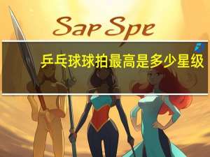 乒乓球球拍最高是多少星级