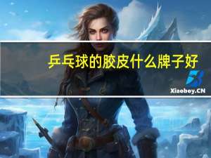 乒乓球的胶皮什么牌子好