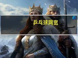 乒乓球网宽