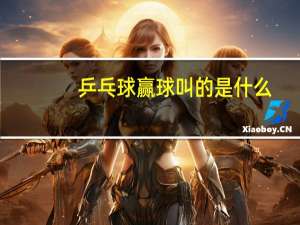 乒乓球赢球叫的是什么