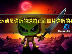 乒乓球运动员许昕的球拍正面照片 许昕的乒乓球拍配置