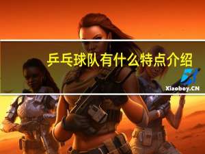 乒乓球队有什么特点介绍