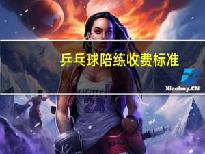 乒乓球陪练收费标准