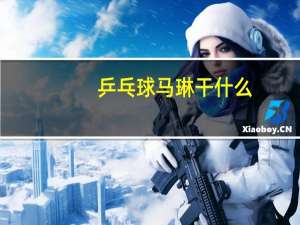 乒乓球马琳干什么