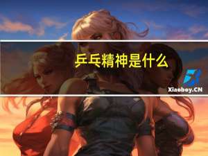 乒乓精神是什么