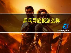 乒乓网底板怎么样