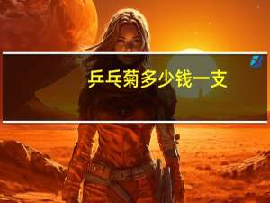 乒乓菊多少钱一支