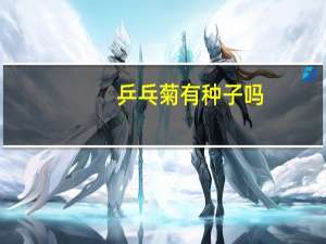 乒乓菊有种子吗
