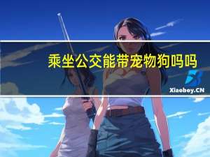 乘坐公交能带宠物狗吗吗