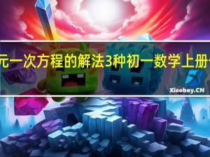 乘除一元一次方程的解法3种 初一数学上册一元一次方程