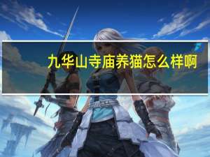 九华山寺庙养猫怎么样啊