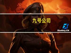 九号公司：子公司收到荷兰海关财政部《税务事项通知书》