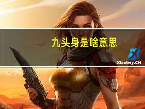 九头身是啥意思