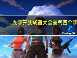 九字开头成语大全霸气四个字（九字开头成语大全）